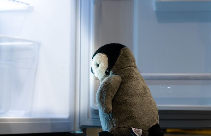 réparation congélateur Nièvre